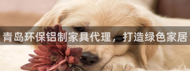 杏耀平台怎么样