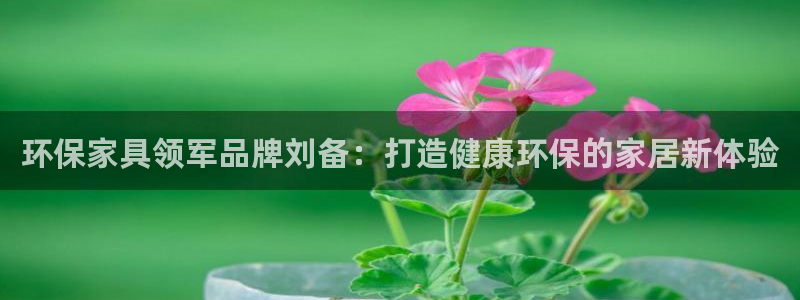 杏耀平台招商的流程：环保家具领军品牌刘备：打造健康环保的家居