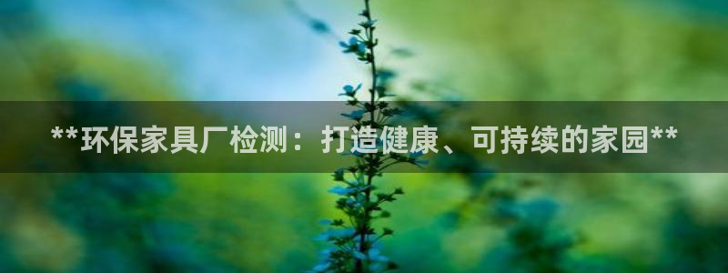 杏耀3注册：**环保家具厂检测：打造健康、可持续的家园**