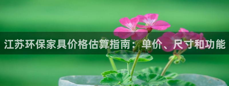 杏耀平台客服：江苏环保家具价格估算指南：单价、尺寸和功能
