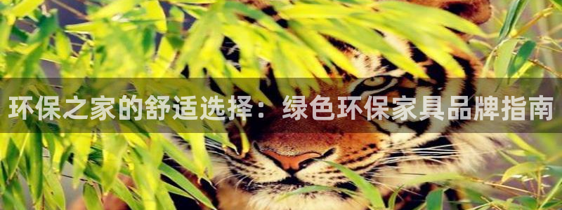 杏耀平台首页