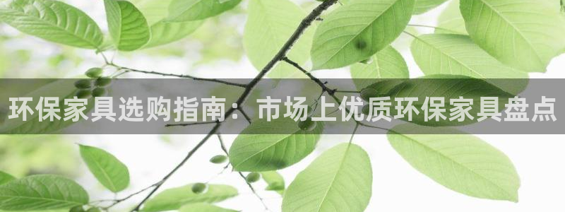 杏耀平台官方网站下载：环保家具选购指南：市场上优质环保家具盘