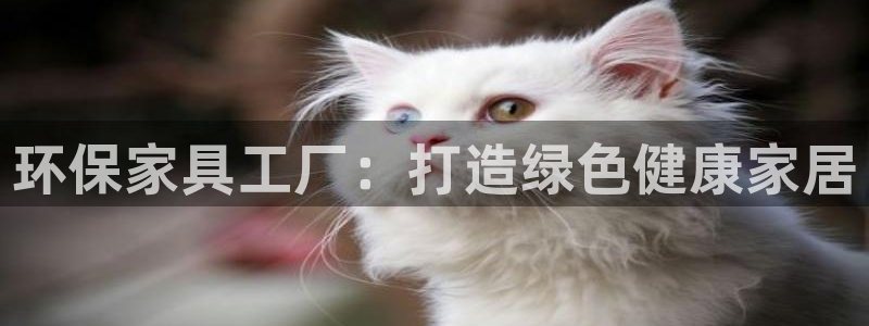 杏耀平台官方网站下载