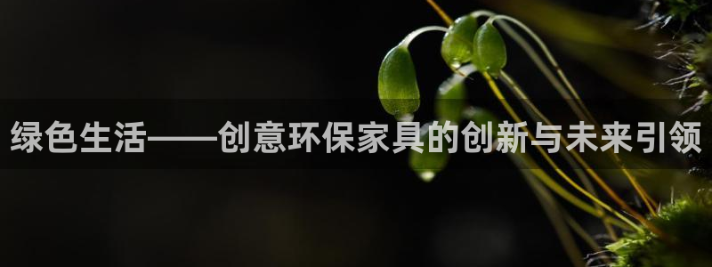 杏耀手机网页登录入口：绿色生活——创意环保家具的创新与未来引