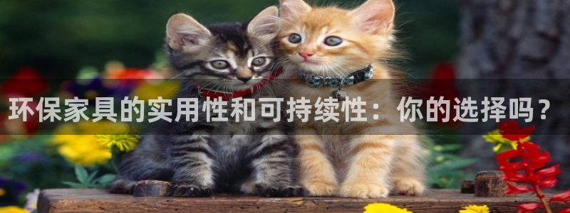 杏耀平台官方网站下载：环保家具的实用性和可持续性：你的选择吗