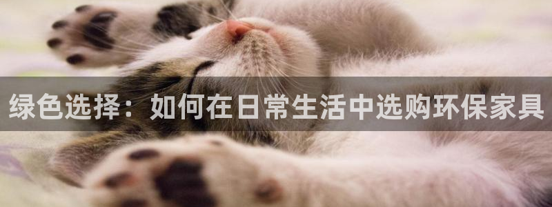 杏耀平台怎么样?：绿色选择：如何在日常生活中选购环保家具
