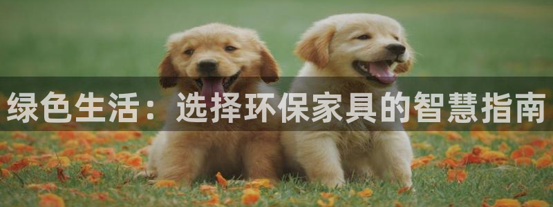 杏耀平台得专用通道