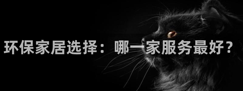 杏耀平台登录网站：环保家居选择：哪一家服务最好？