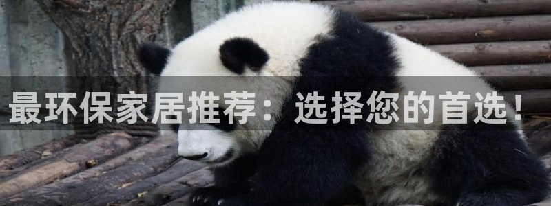 杏耀手机客户端