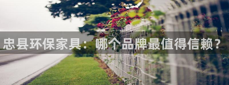 杏耀注册登录官网：忠县环保家具：哪个品牌最值得信赖？