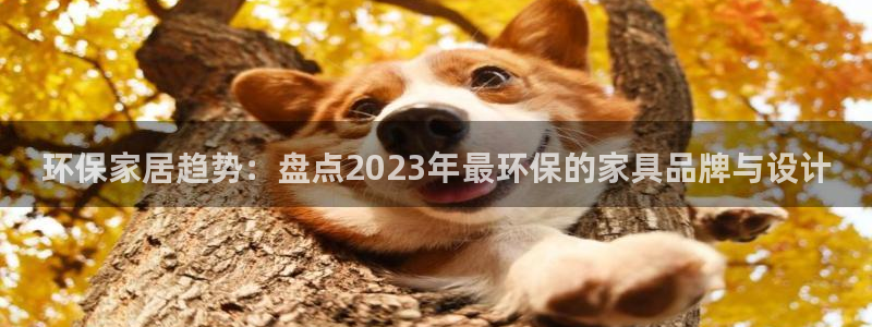 杏耀平台登录入口：环保家居趋势：盘点2023年最环保的家具品