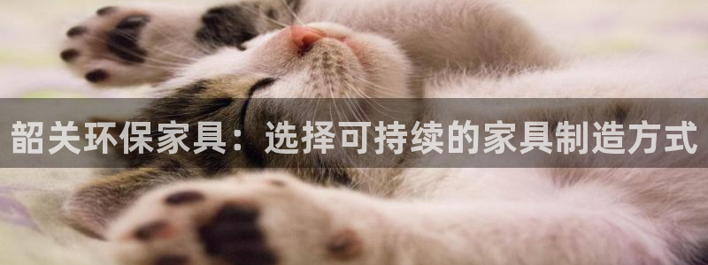 杏耀代理注册开户：韶关环保家具：选择可持续的家具制造方式