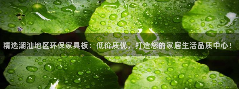 杏耀官方注册中心：精选潮汕地区环保家具板：低价质优，打造您的