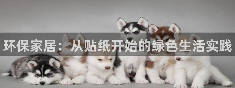 杏耀官网网站：环保家居：从贴纸开始的绿色生活实践