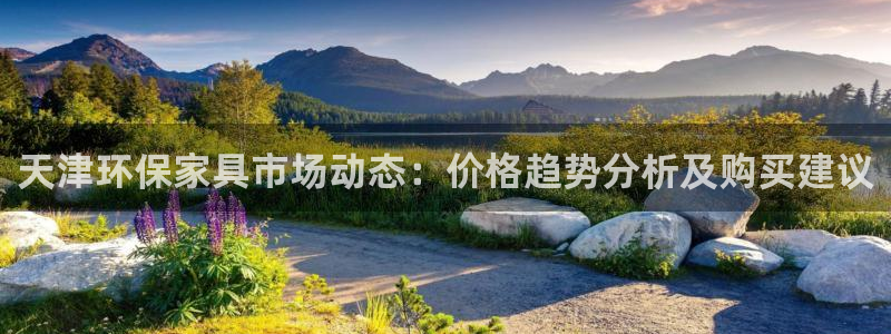 杏耀平台登录网址：天津环保家具市场动态：价格趋势分析及购买建