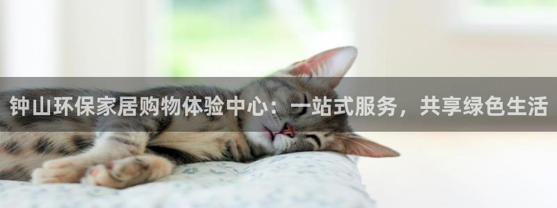 杏耀注册主管：钟山环保家居购物体验中心：一站式服务，共享绿色