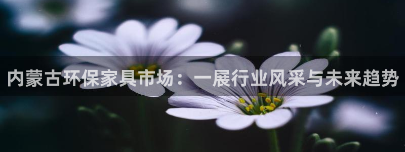 杏耀平台网页版：内蒙古环保家具市场：一展行业风采与未来趋势
