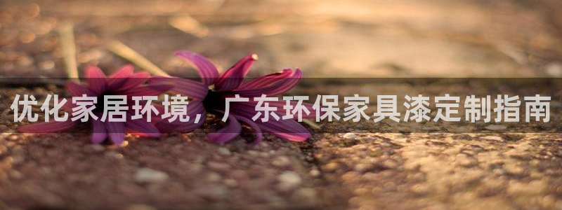 杏耀app怎样申请：优化家居环境，广东环保家具漆定制指南