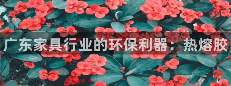 杏耀注册平台官网