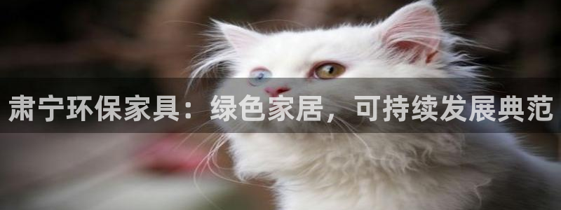 杏耀平台登录入口