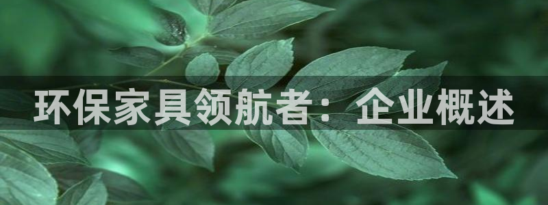 杏耀3代理：环保家具领航者：企业概述