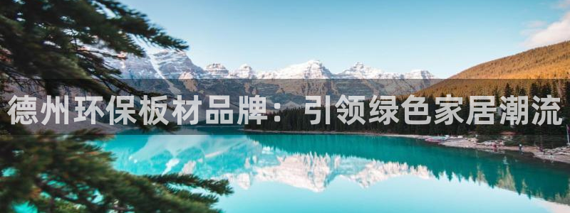 杏耀注册网址：德州环保板材品牌：引领绿色家居潮流