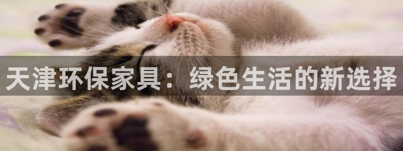 杏耀平台登陆官网