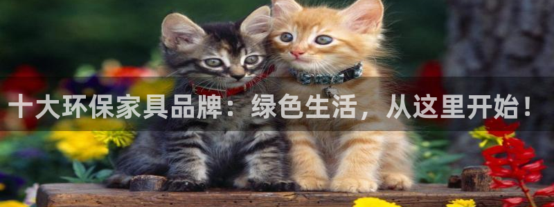 杏耀app怎样申请退款