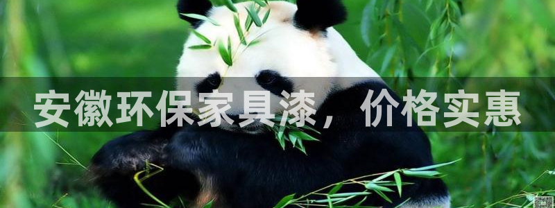 杏耀官网网站中心