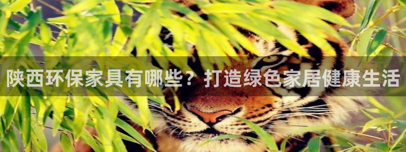 杏耀平台线路测试