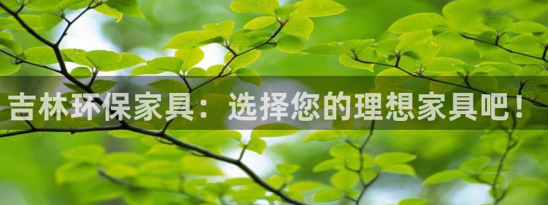 杏耀登陆测速：吉林环保家具：选择您的理想家具吧！